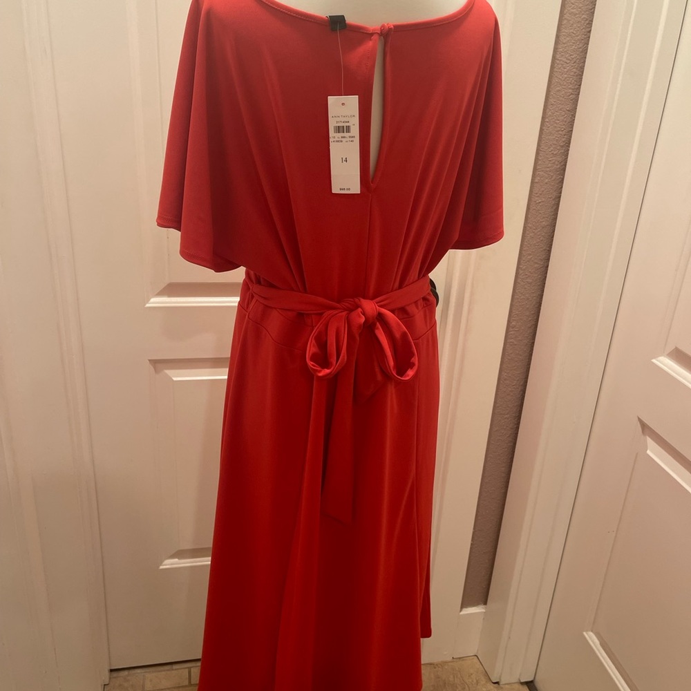 Beautiful dress - Picture 4 of 5